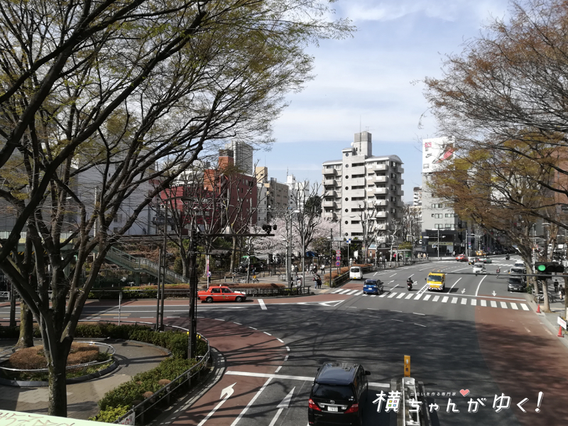 渋谷ラスト1
