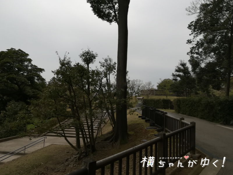 らぶど散策4