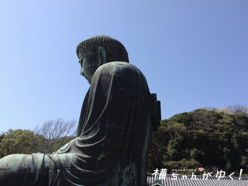 鎌倉大仏11