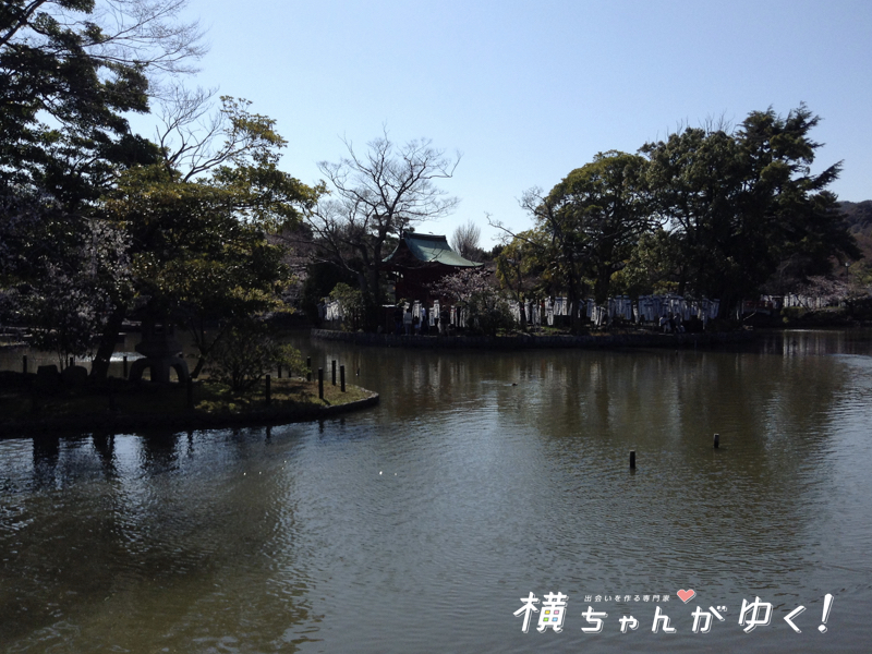 鶴岡八幡宮14