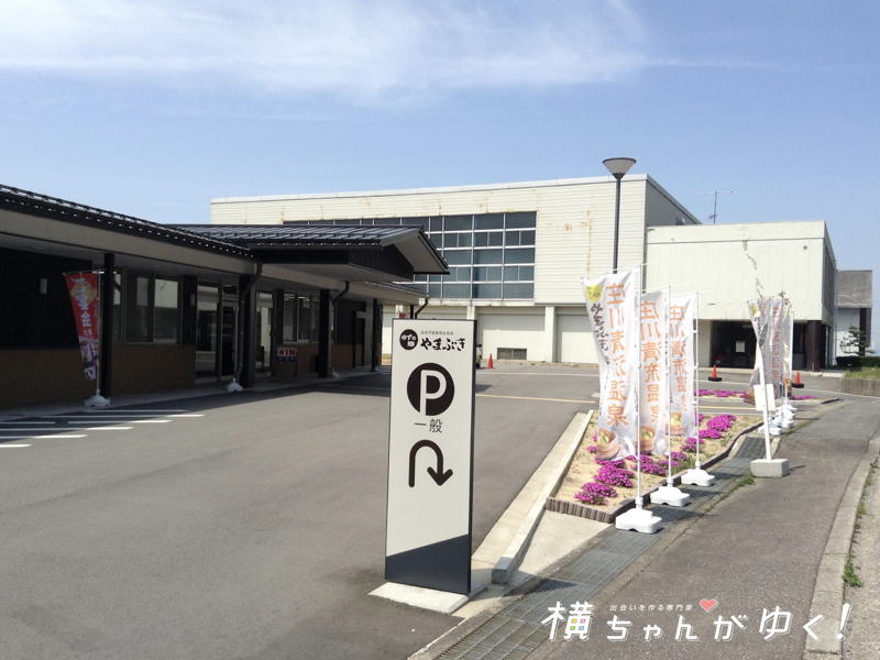 やまぶきだよ