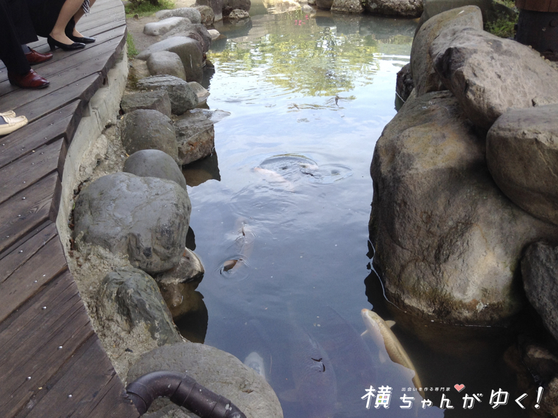 庄川足湯24