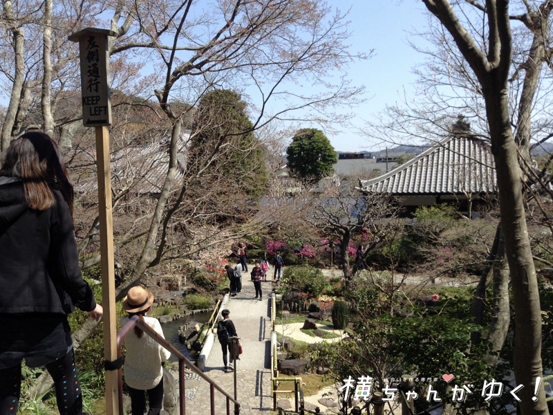 長谷寺10