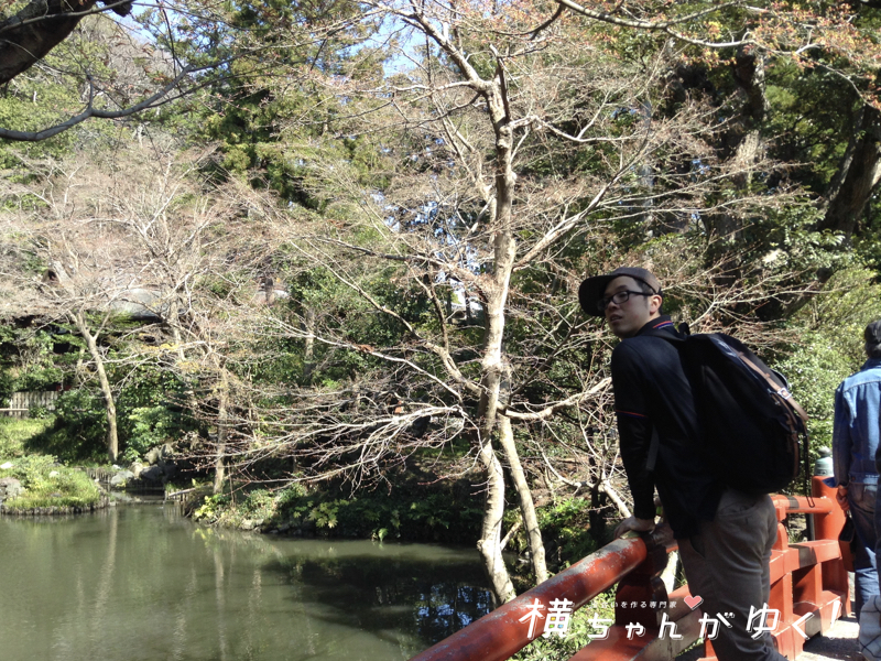 鶴岡八幡宮15