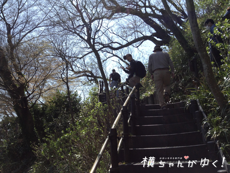 はせ