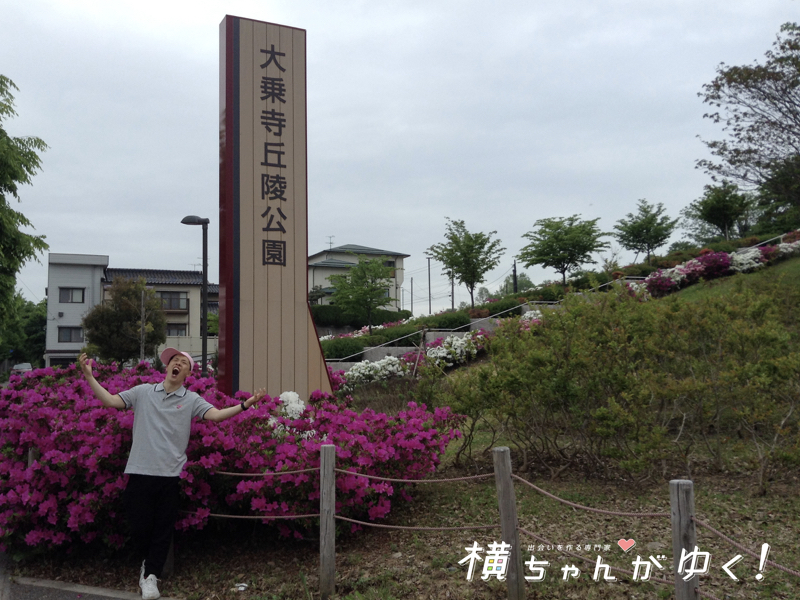 公園アイキャッチ