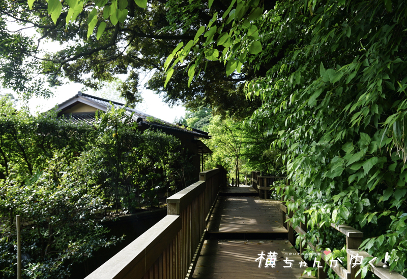 緑の小径2