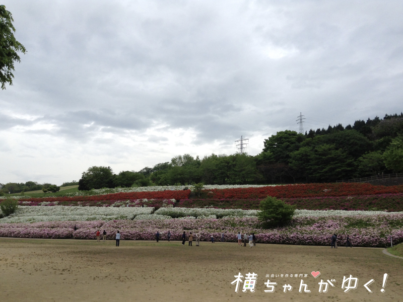 大乗寺丘陵公園9