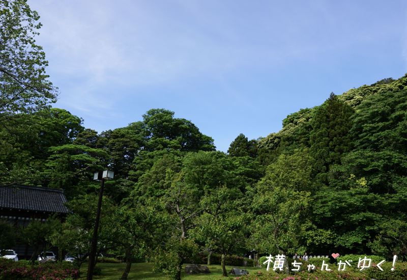 中村記念美術館4