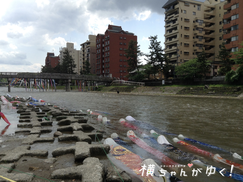 鯉流し12