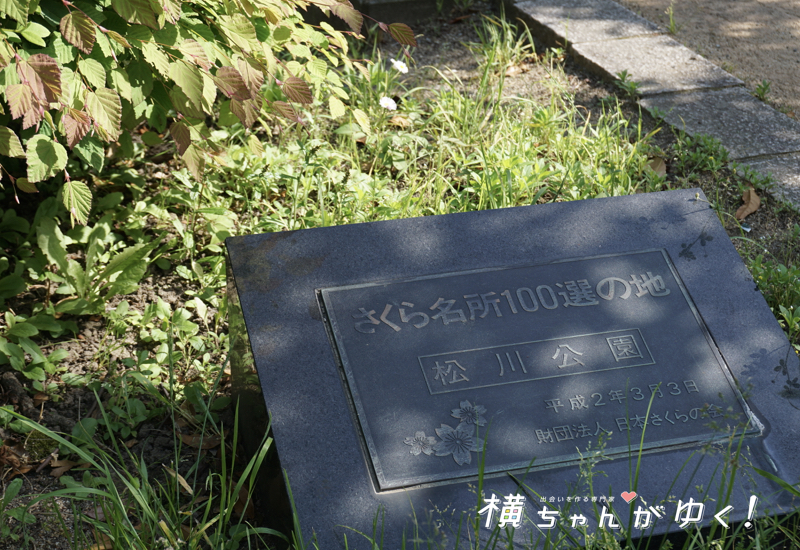 松川31