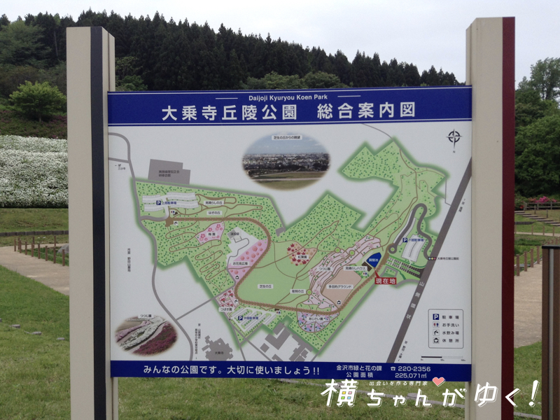 大乗寺丘陵公園5