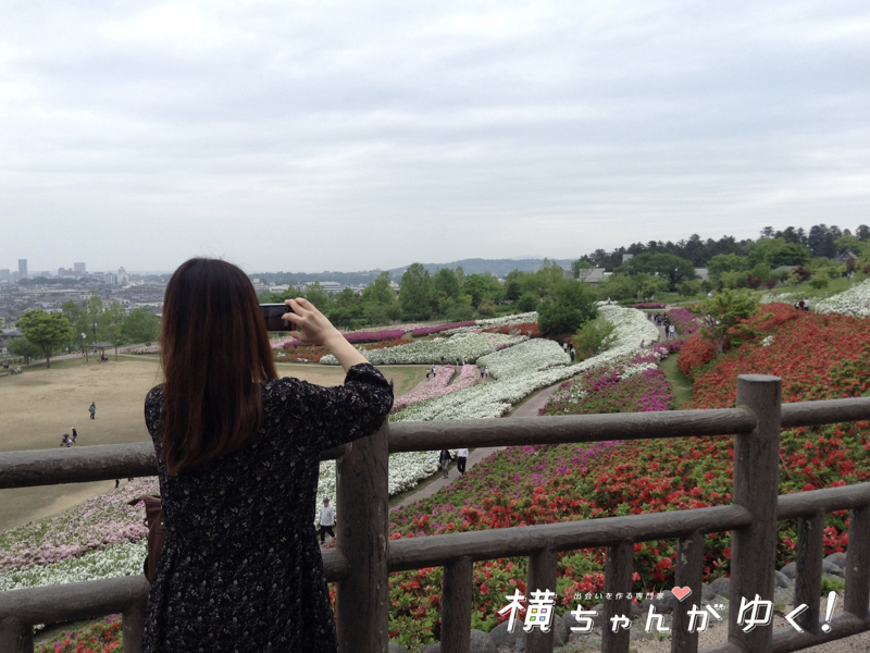 大乗寺丘陵公園23