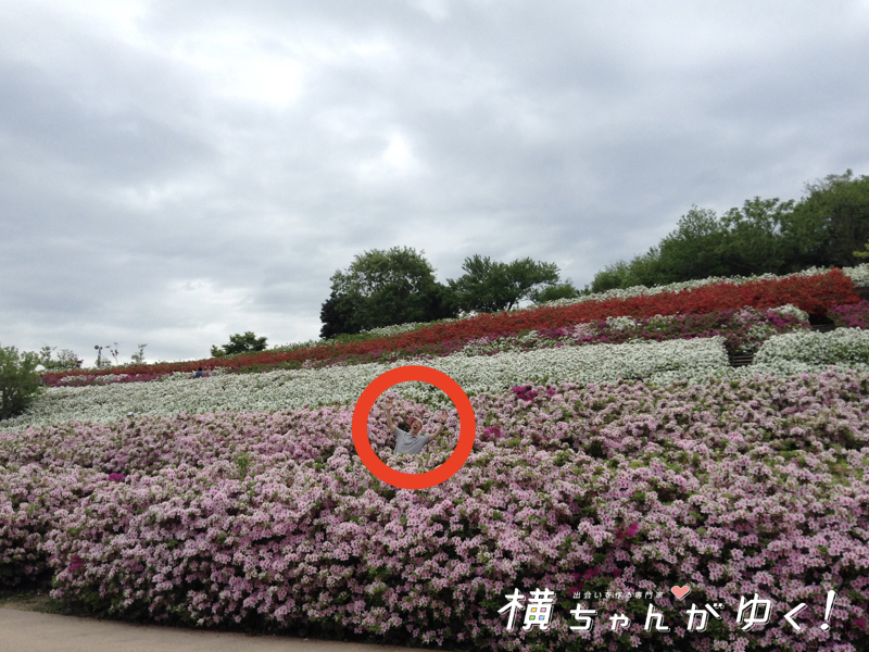大乗寺丘陵公園10