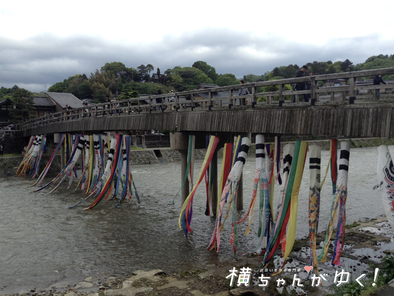 鯉流し8
