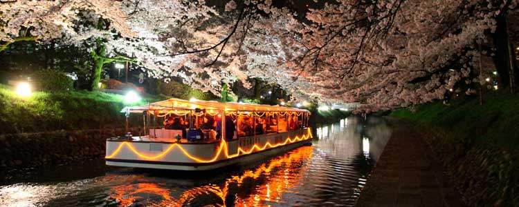 ohanami-enkai-cruise