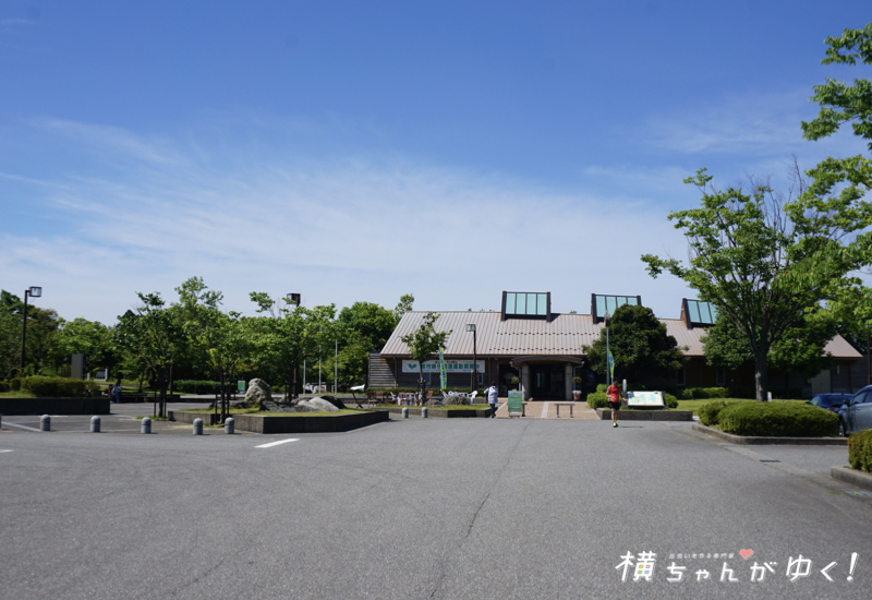 木場潟5