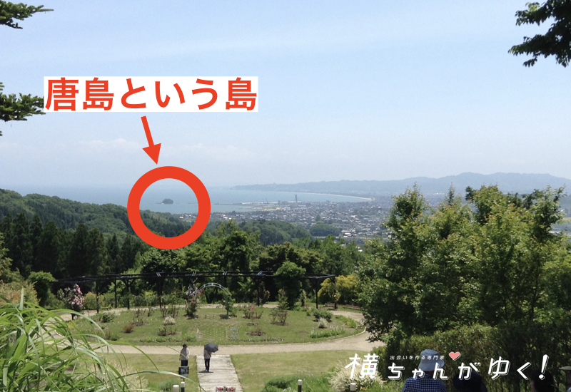唐島