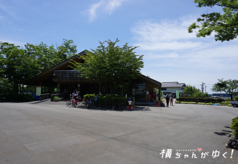 木場潟29