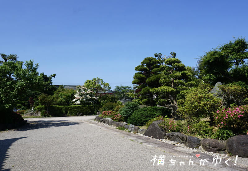 光禅寺7