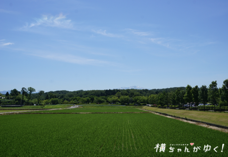 木場潟14