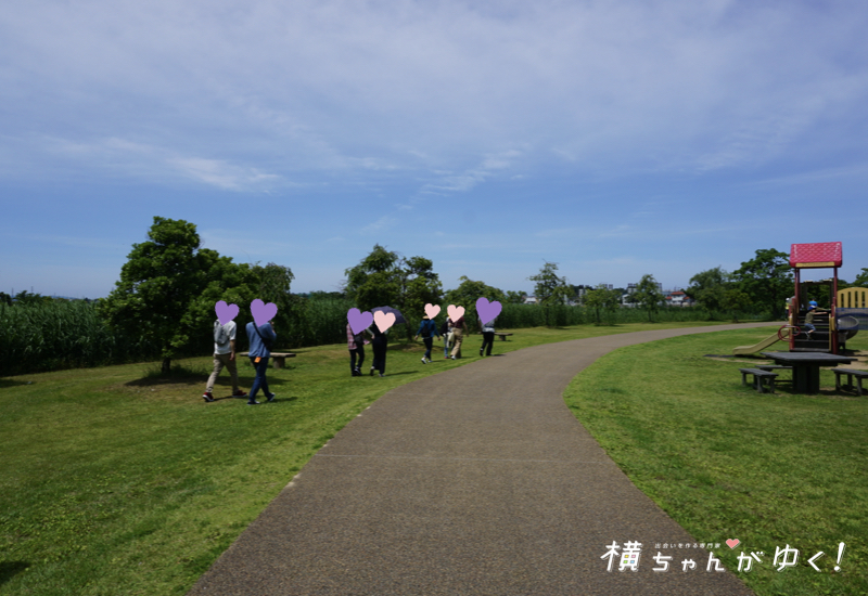 木場潟24