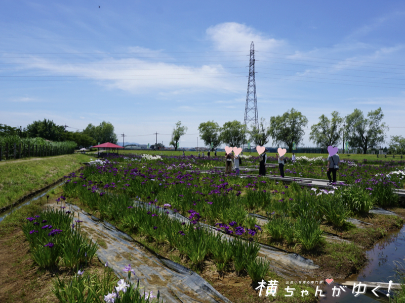 木場潟28