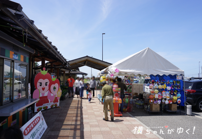 道の駅2
