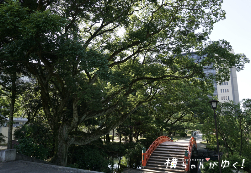 富山城16