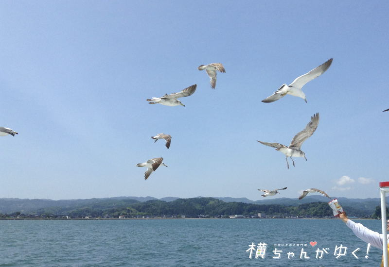氷見沖クルージング12
