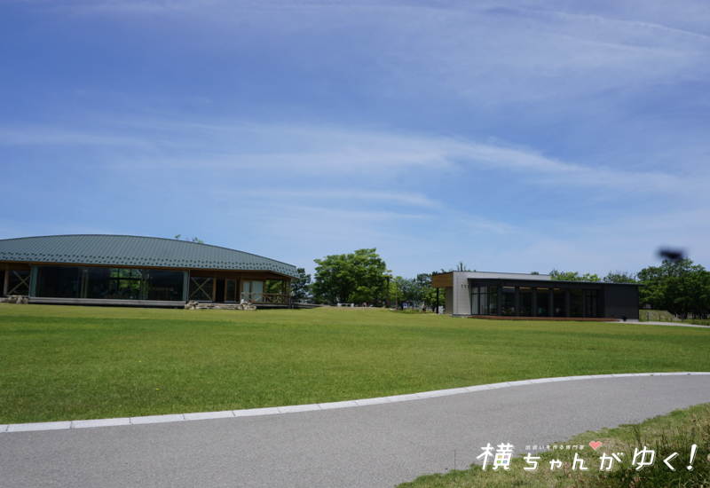 木場潟26