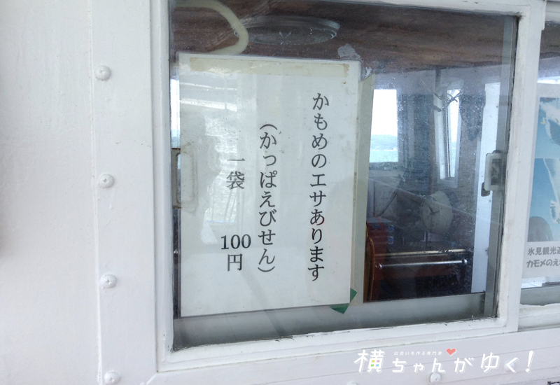 氷見沖クルージング11