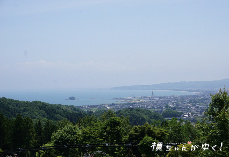 富山県高岡市氷見市横ちゃんおすすめお出かけスポット イベント等まとめ 全レポ記事あり 横ちゃんがゆく