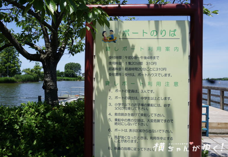 木場潟30