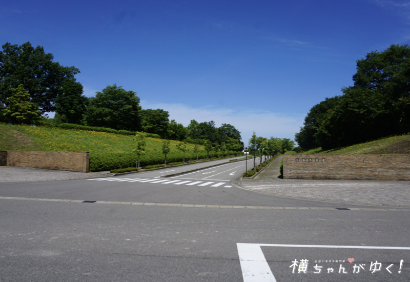 木場潟2