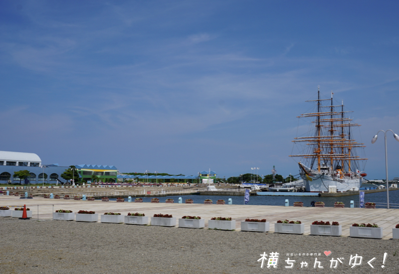 海王丸6