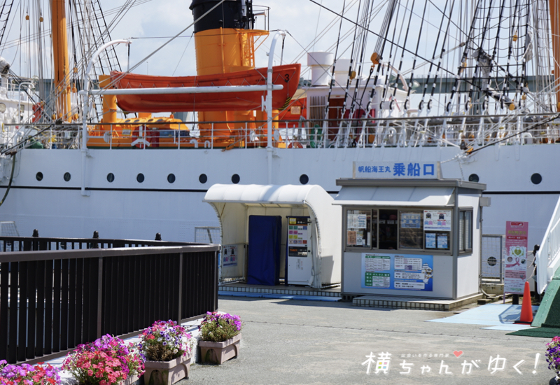 海王