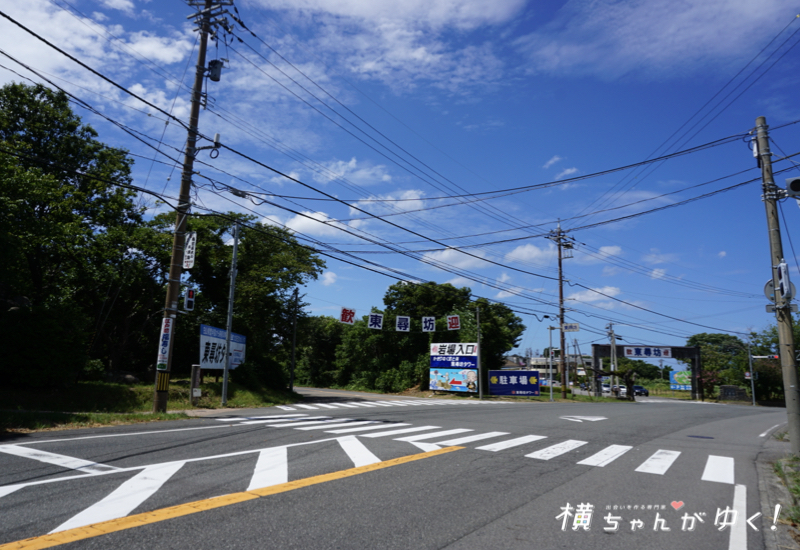 東尋坊1