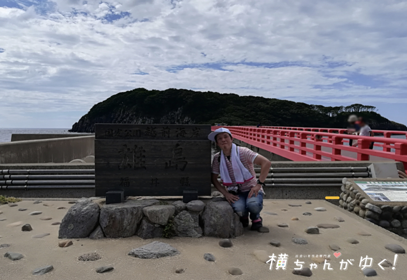 尾島まとめ