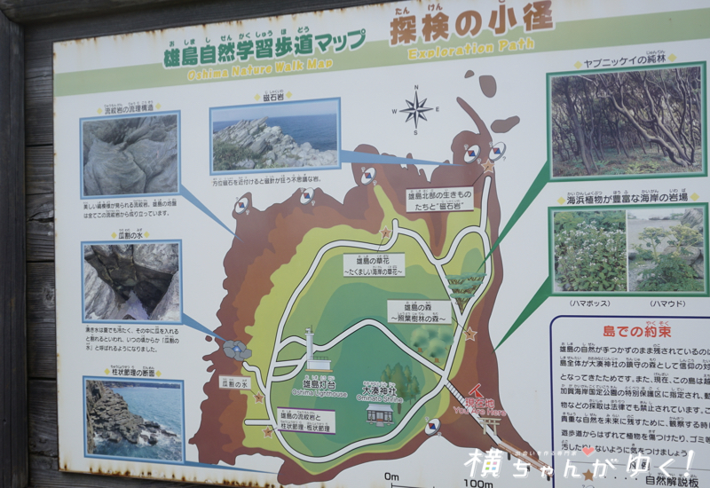 雄島11