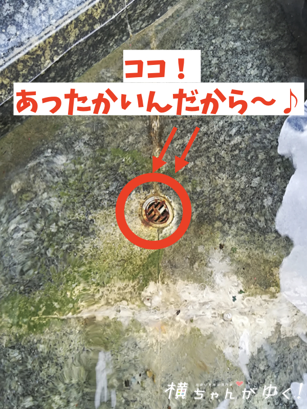 あわらグランドホテル16