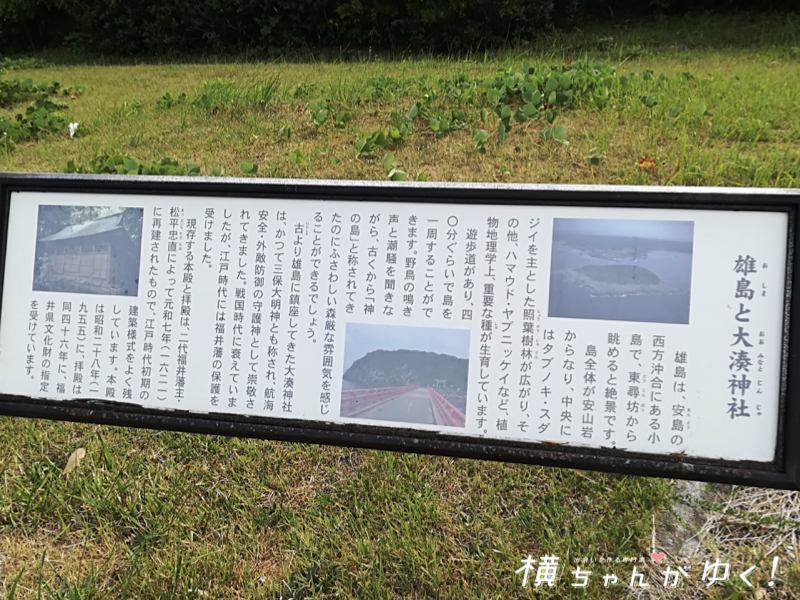 雄島