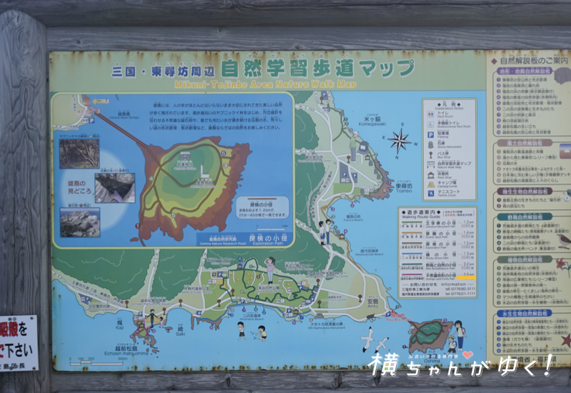 雄島5