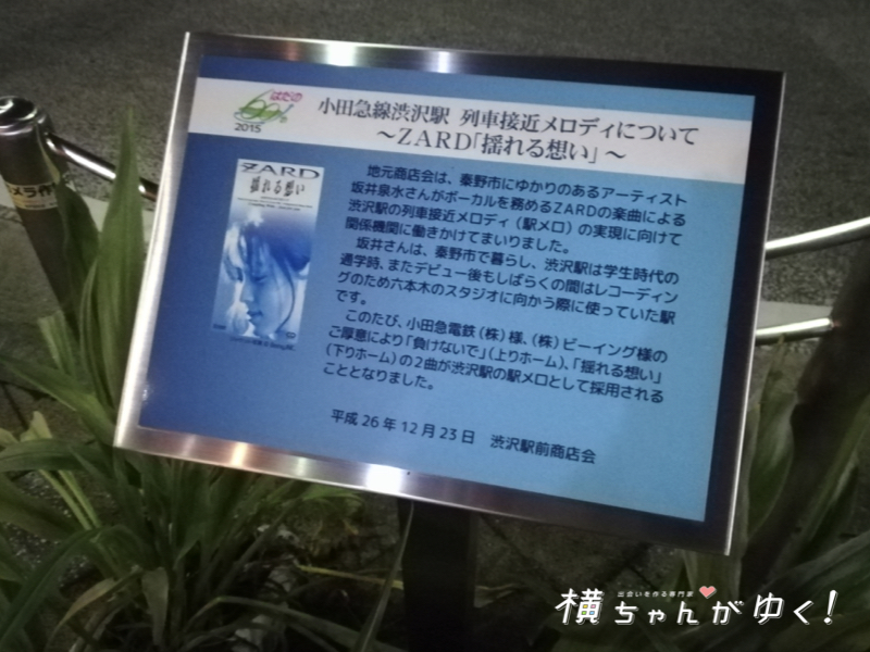 渋沢13