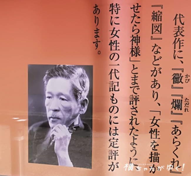 徳田秋聲とは