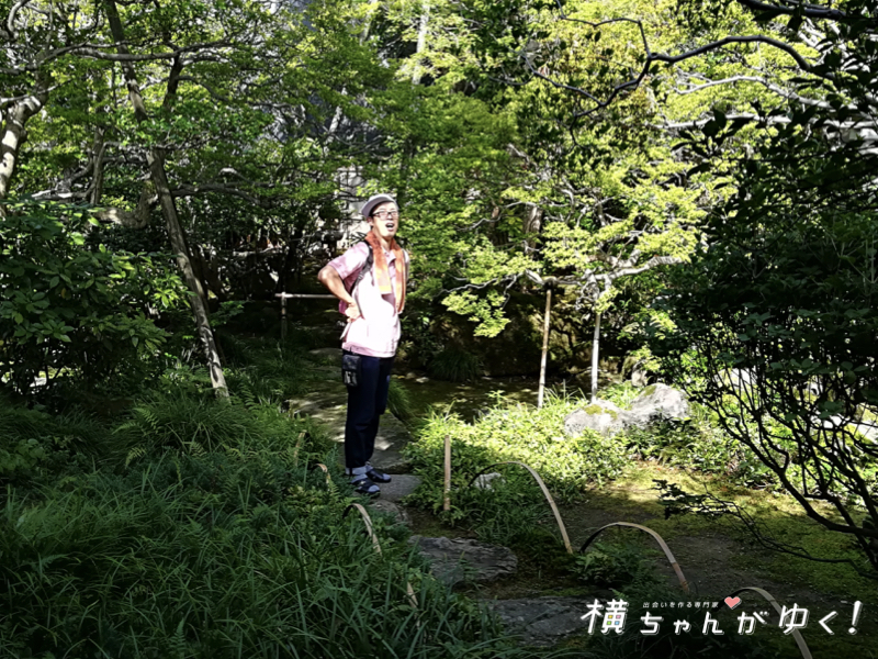寺島11