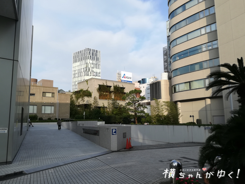 チコまとめ1
