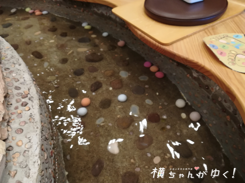 ホグレスト13