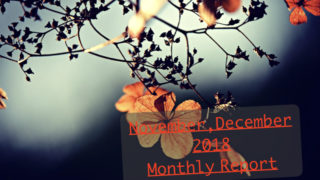 11月12月