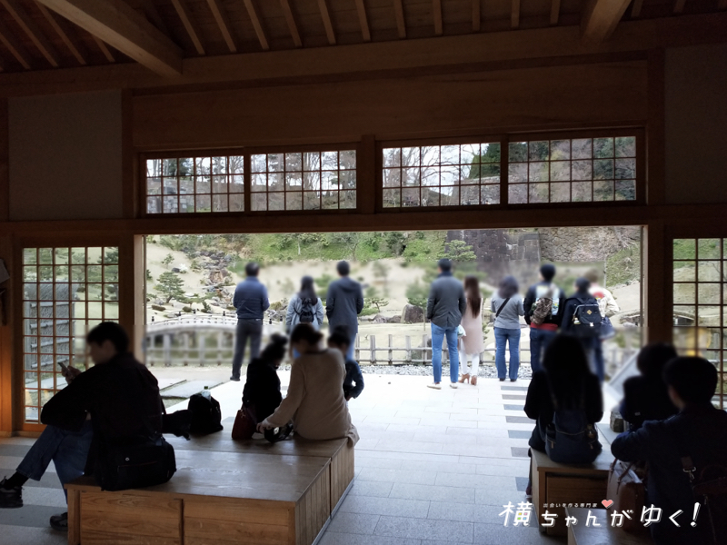 桜41